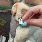 Ghost Mouse Ring