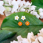 Citrus Bird Stud Set Earrings