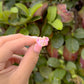 Shellie Bear Ring