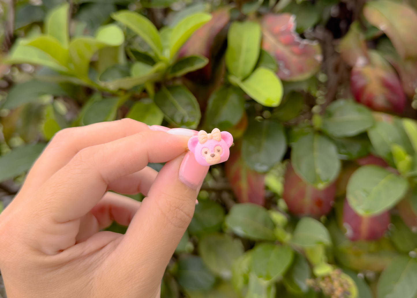 Shellie Bear Ring