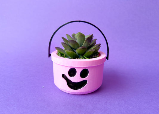 Baby Pink Ghost Bucket Planter/Container