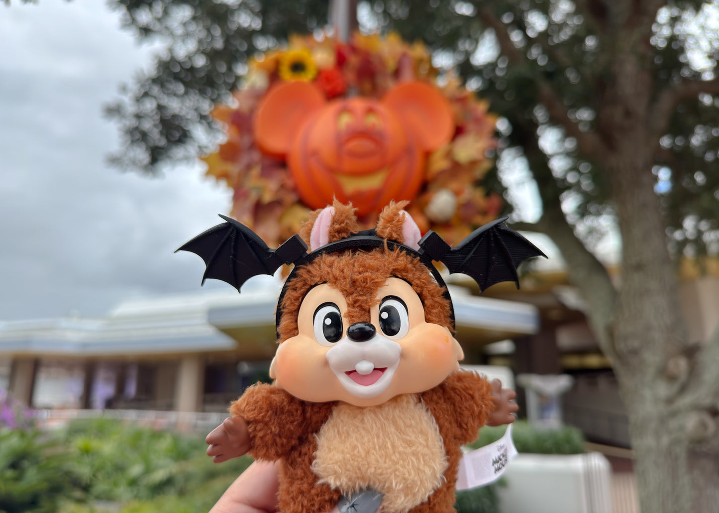 Bat Wing Bag Plush Ears
